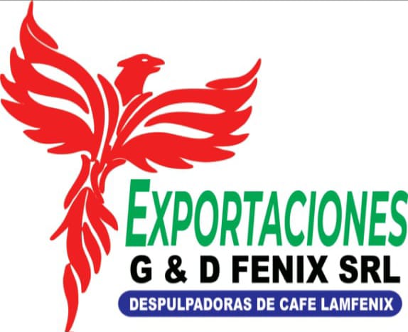 EXPORTACIONES G & D FENIX SRL